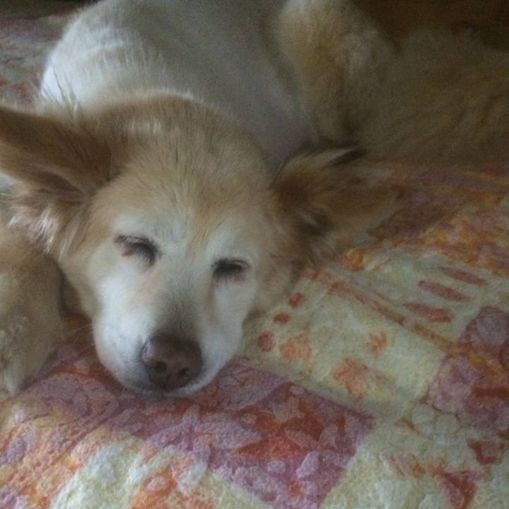 47285576 0075 4206 aa6f 9f28caaf56a5