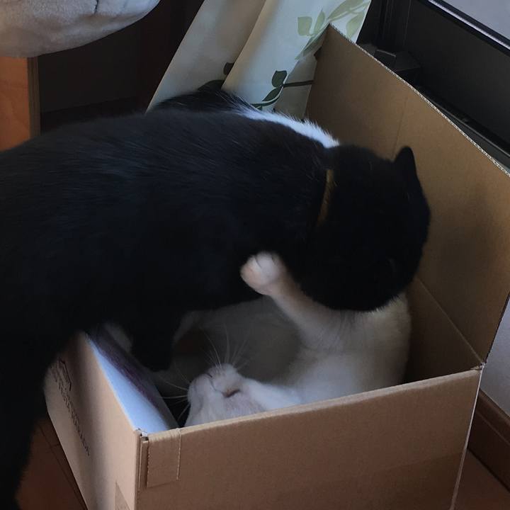 472896f9 0092 43bb 8e17 7cf8952ff715