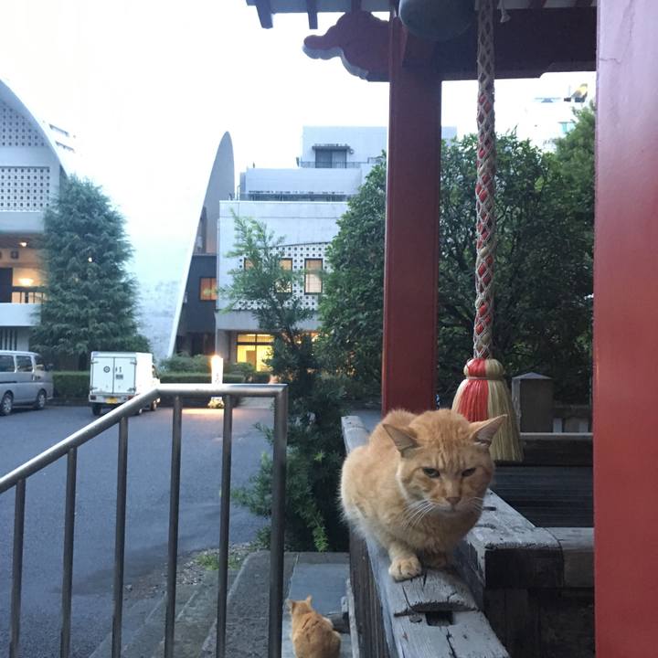 4728a1d7 9d84 41d8 a5ba b6b3d8cbf7a5