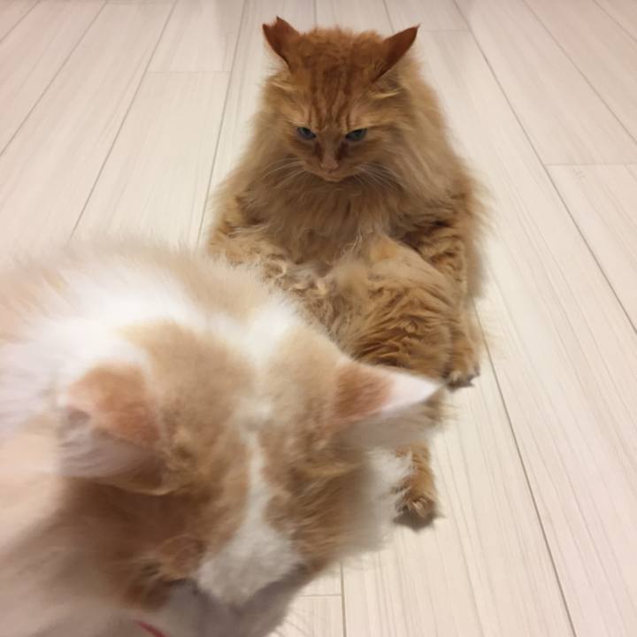 4729cfc1 241f 4d76 b150 401fd4e91cce