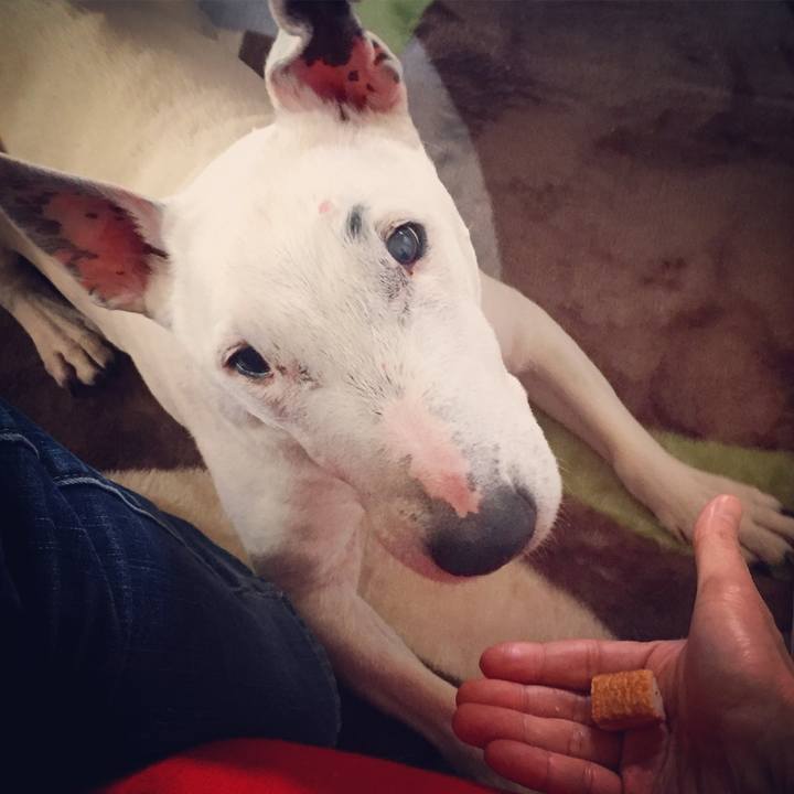 472a8497 6184 4b3f 871a 9ba653039574