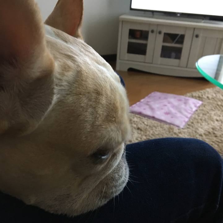 472c19dd d909 47ee a9ef d4c5a807df2a