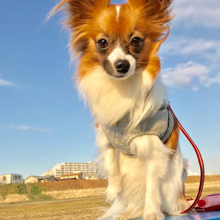 472c4708 e887 45c8 b50c 6234d4c85d6a