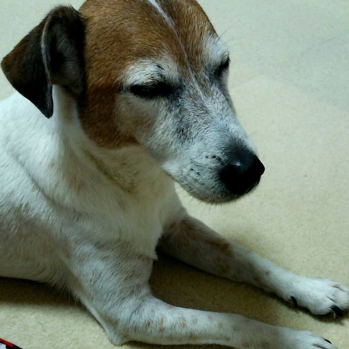 472c51e1 0a55 4ba0 9ac2 826621b77ebe