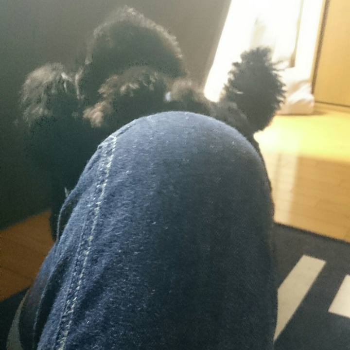 472c9b47 ee9c 41e7 a140 8c5152b6630e