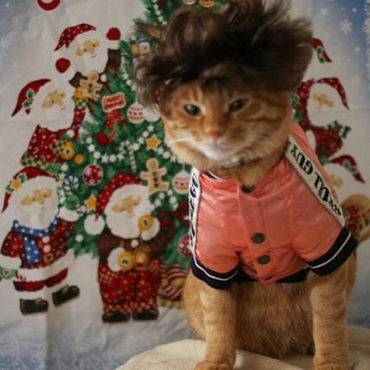 472d1b67 7b85 4c2a b6a1 2eb8c815d65e