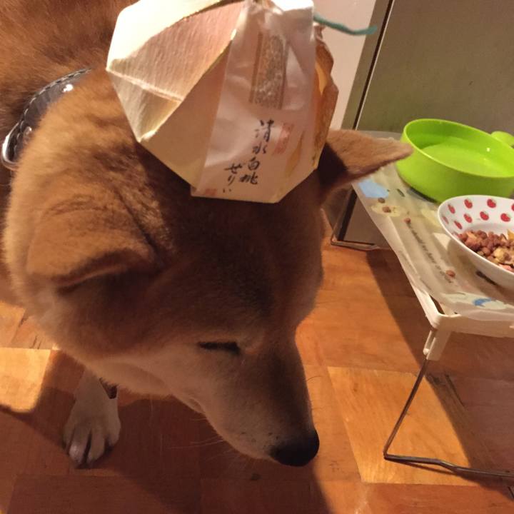 472df258 e5ad 4a2b 8f08 5cd9c3685ddd