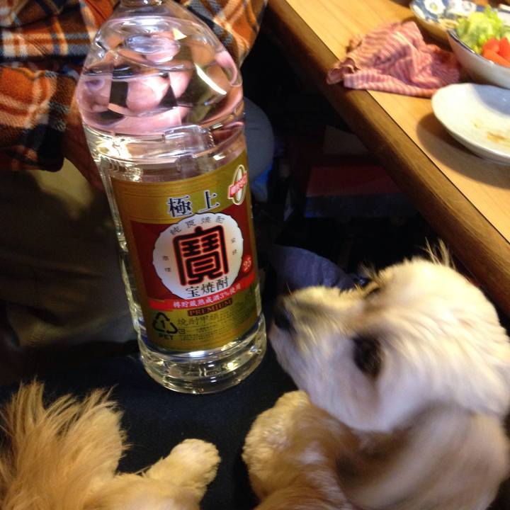 472e1ff5 3d84 4e58 a358 d496329402d8