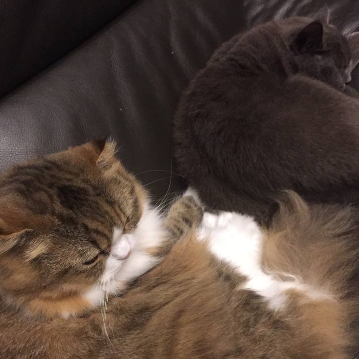 472e28fd f391 4c59 b648 b1ce919ea609