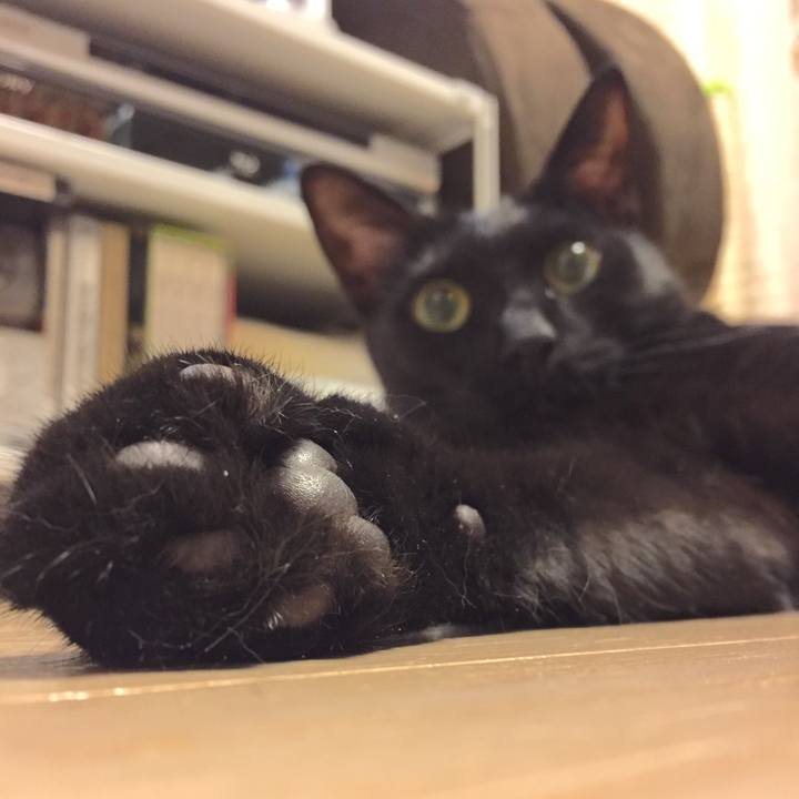 472e8e75 446a 4b0b a214 c0feda3929fc