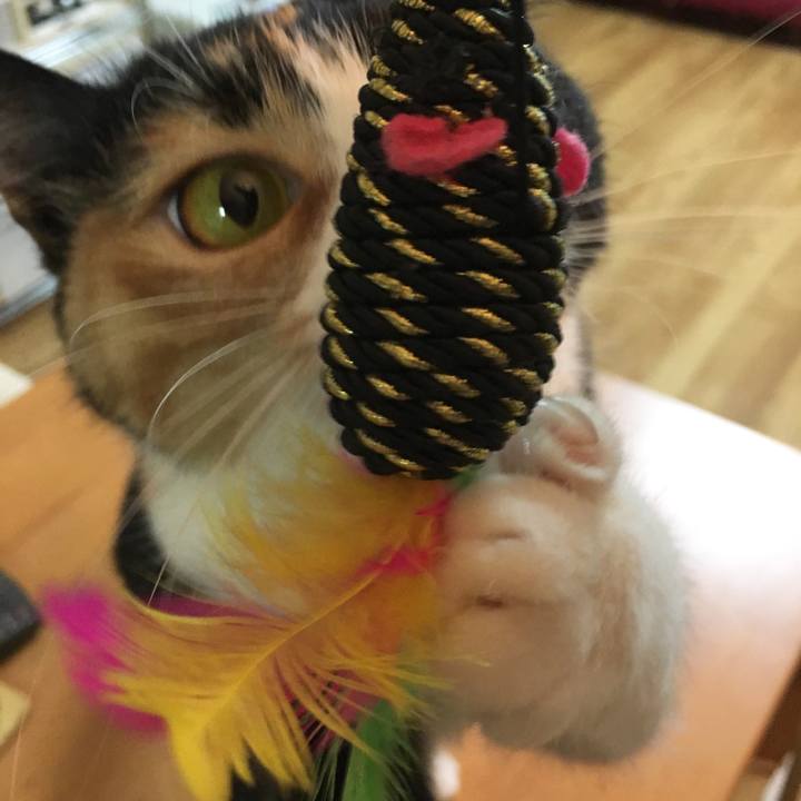 472eabc9 89e0 455a b31c 01303f911df6