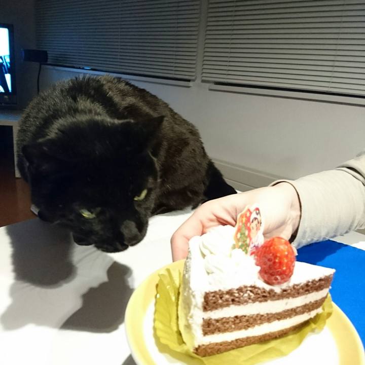 472f0410 6191 4706 998a 48ca517d5c46