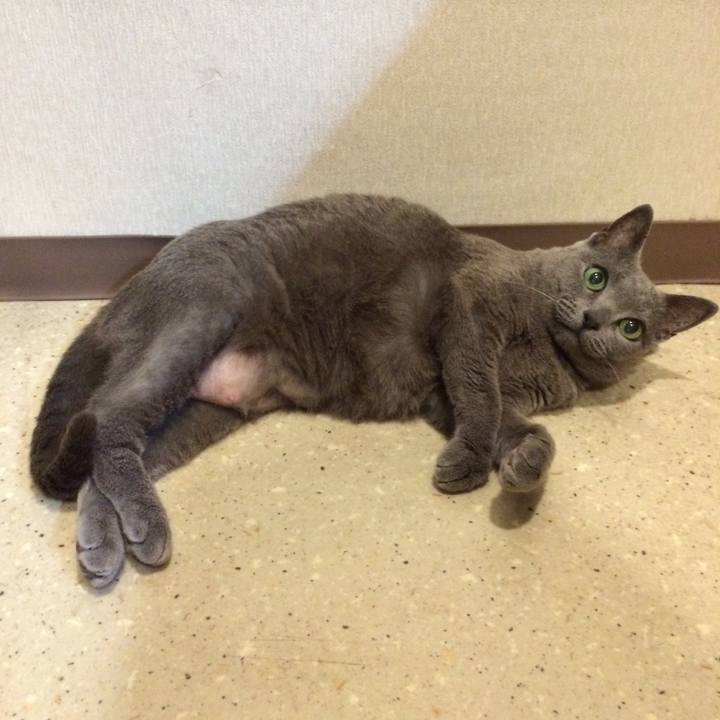 472f4c88 261c 4aa1 80b2 68809b3ce675