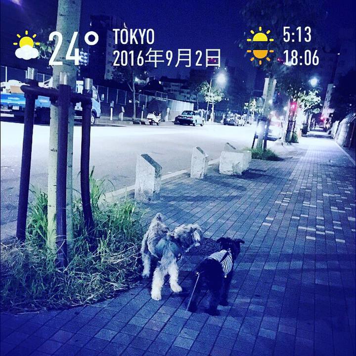 4730a009 c096 45a5 b4f5 c3617e9e0ddf