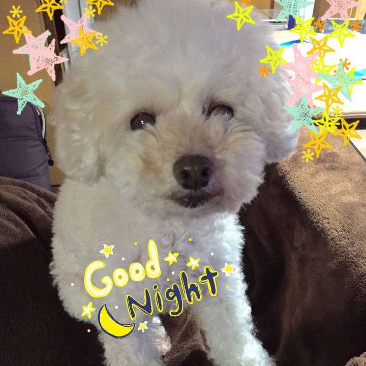 47322409 637c 4ffe 8c2c dd9ea55a4959