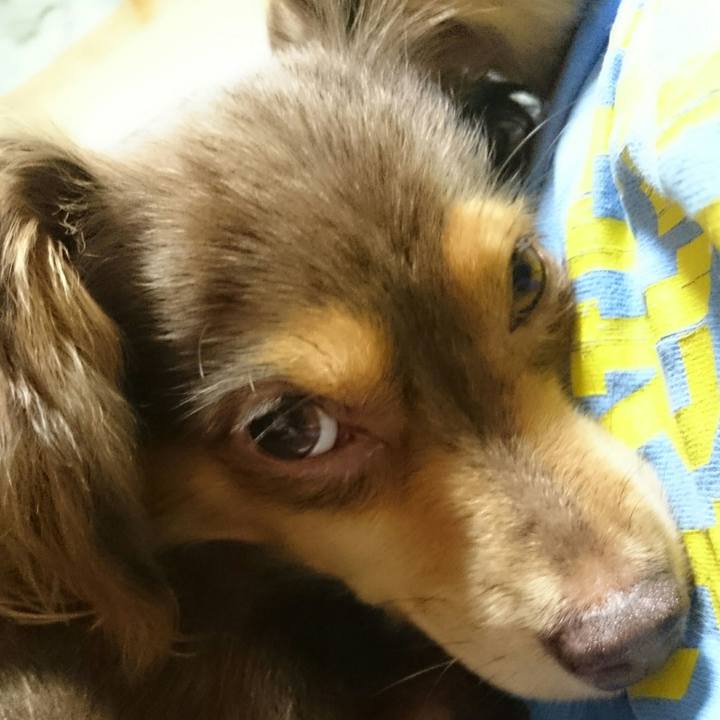 47328baf 04b5 40f7 9c19 6fb7bcb2eb45