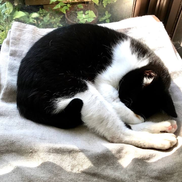 47334c6b df2e 43da 8227 e24ec8c1ae4f