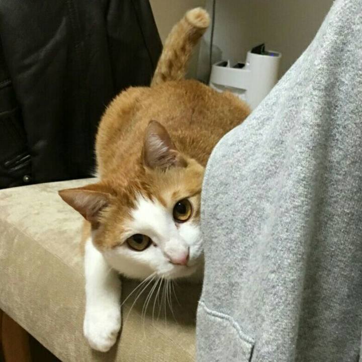 473400fd 0356 44af 908c 3fd2374869c4