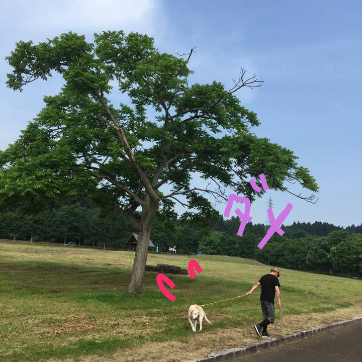 473422d8 71c3 4856 98b9 704894056965