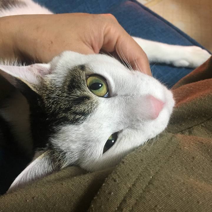 473440d9 0d76 4fd7 aa98 b70267480d35