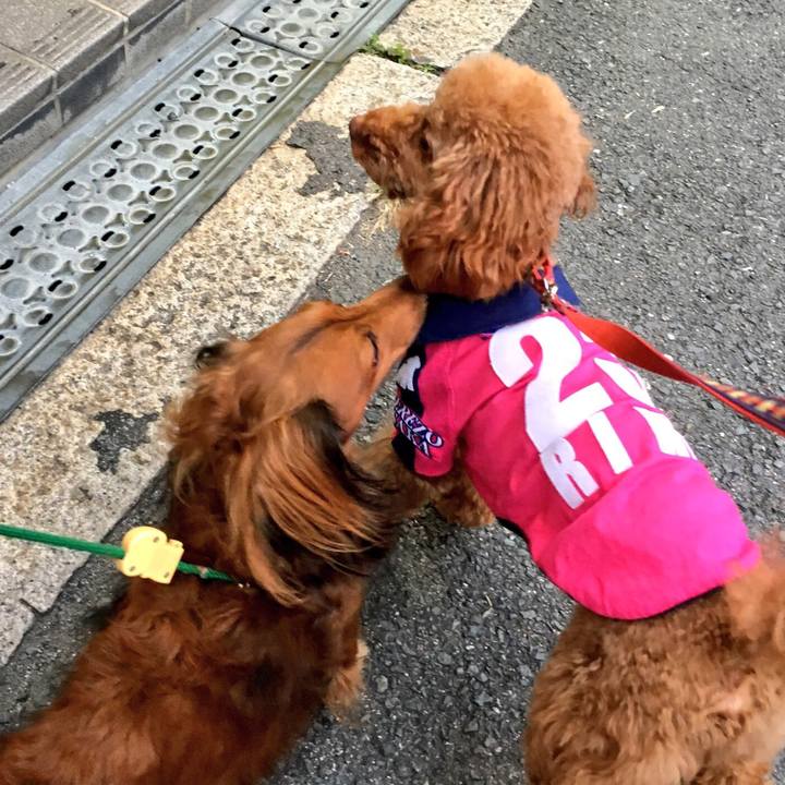 4734859b 186e 4688 8066 6f13e949a964