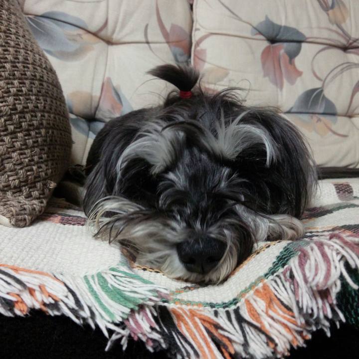 47358144 08a4 4dc8 8029 874835a76a88