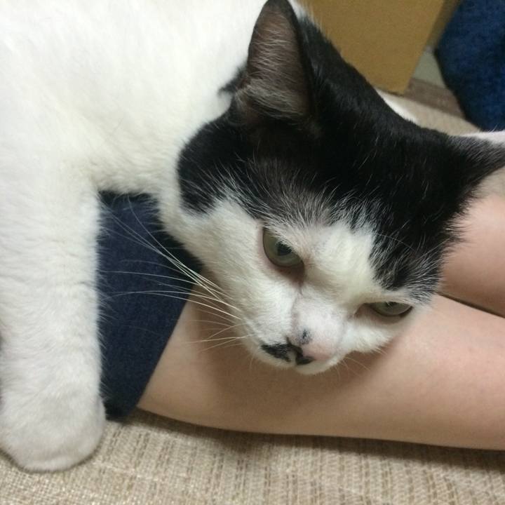 4735d6f6 8de2 4470 bbed c4324d4f304e