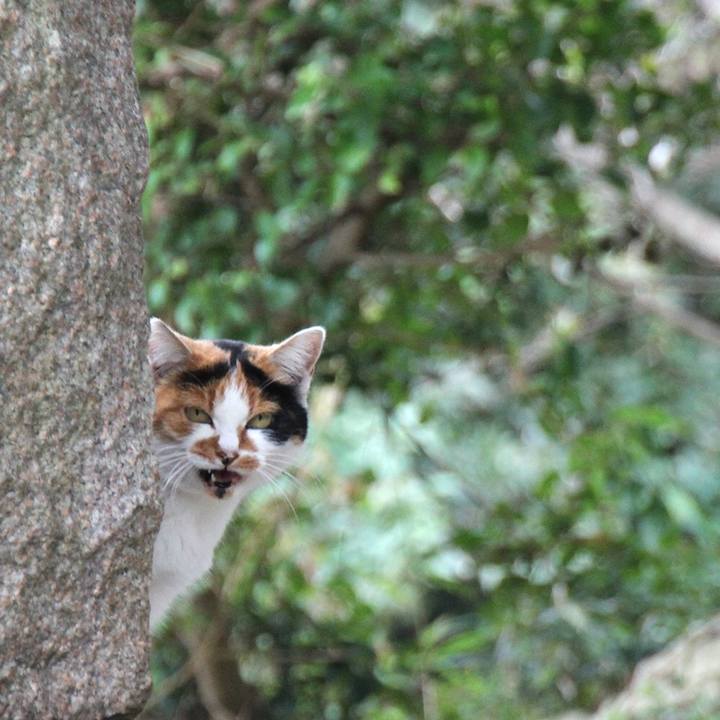 4735f148 4ed2 452d a023 0573b7d3ed4a