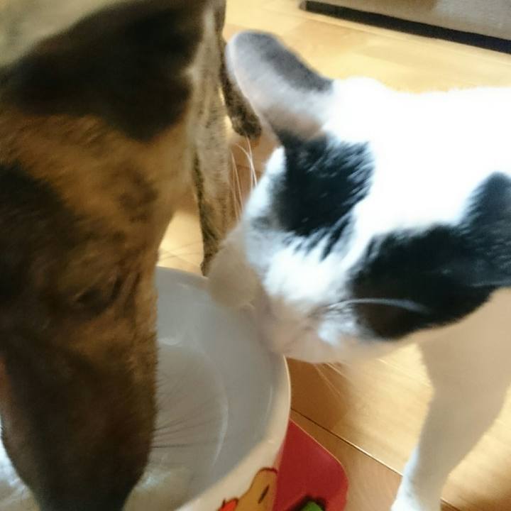 47369b21 e0c6 4bf3 8b95 10f66193e42f