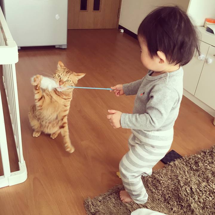 4737275b b9ea 44d0 a1b3 3be59451f879