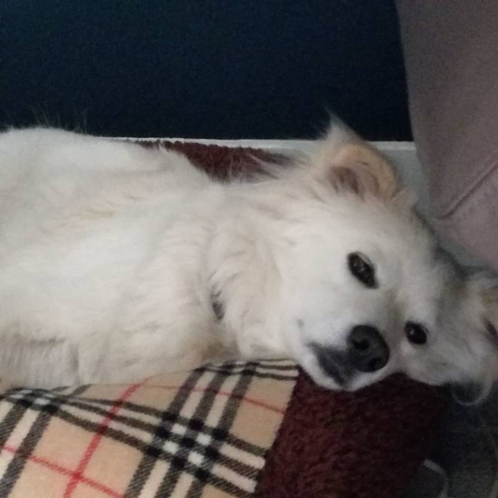 47373af0 59fb 4c6d b19d 1c7f8b7d8747