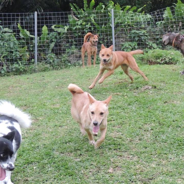 4738b475 4fcd 41d4 a900 e909c16e31ee