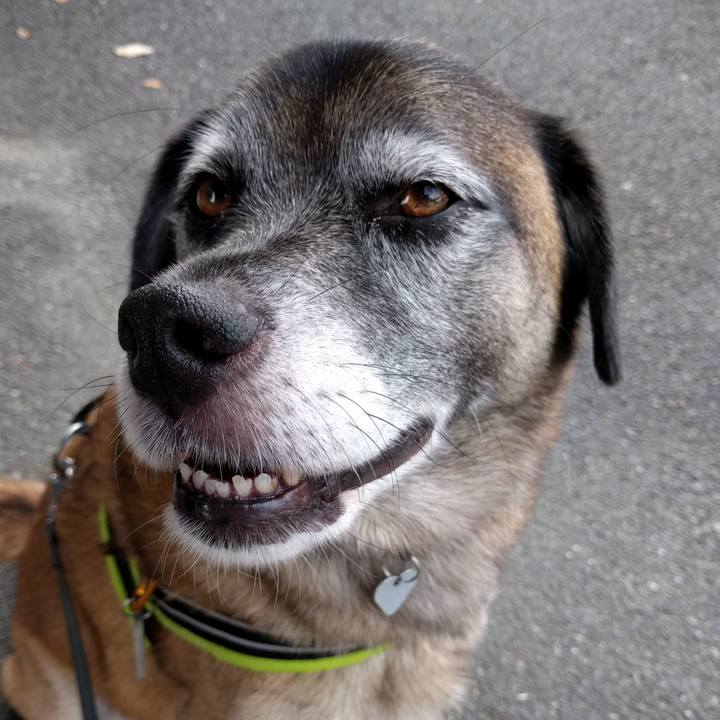 4738c86d b302 4e47 a4a8 348385d5ec7a