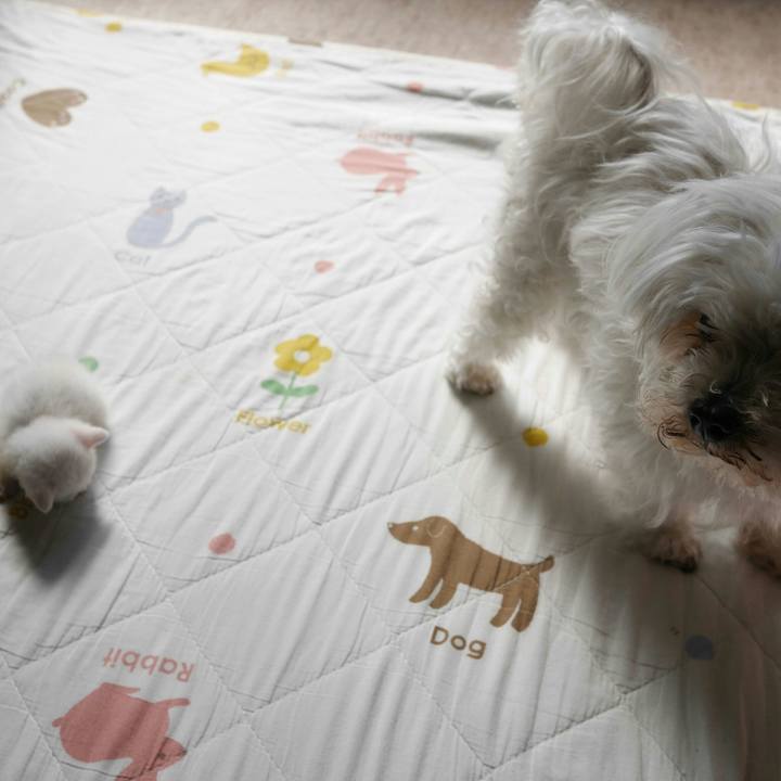 4739a3a9 7798 4fb7 aee3 e6c85bb07564