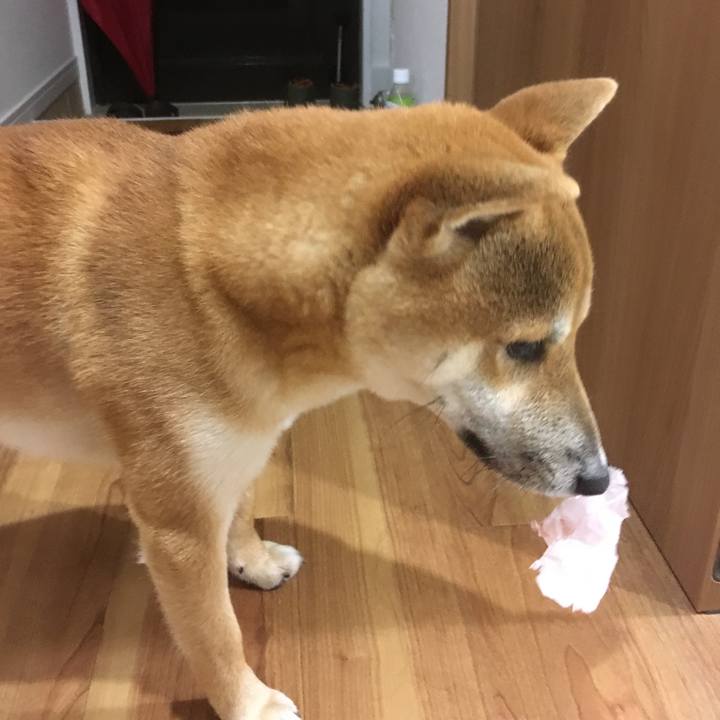 473a523b 0875 4316 9a39 bb50a03e75d2