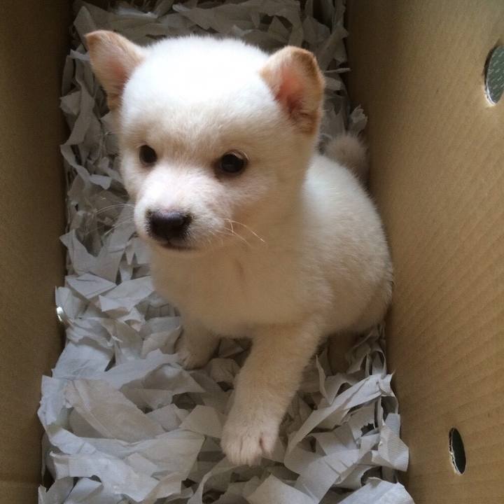 473a7365 e671 416b bc17 af0f8ef22bf5