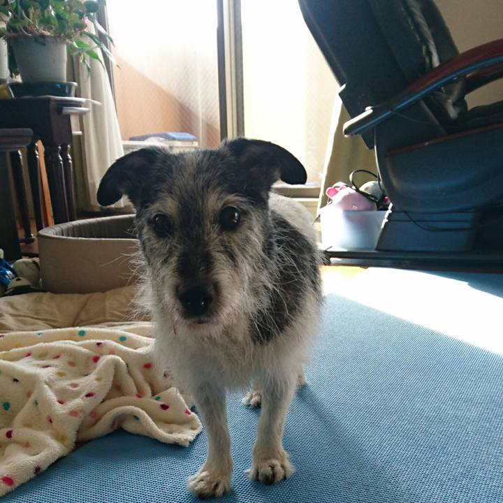 473a7e27 04b2 4070 9e77 3d6e2e06f090