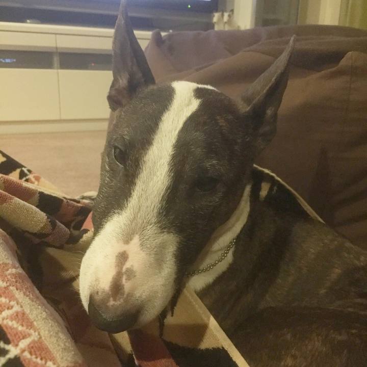 473b0533 243c 448e 9731 960032b4b91e