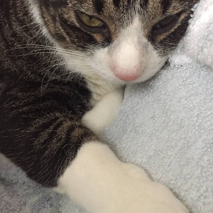 473b5ca8 7098 4bab bd55 6fb9973f459a