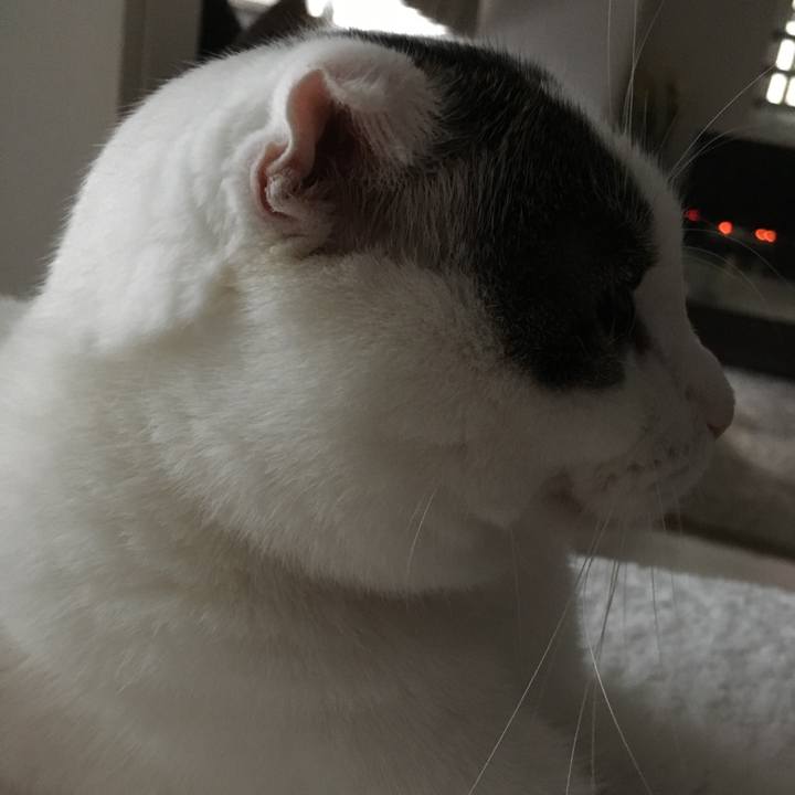 473ba8b6 d5f8 4049 afbc a79cbc8c097b