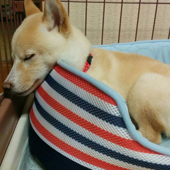 473bc215 ab72 4f27 babe 3ed614b1173f