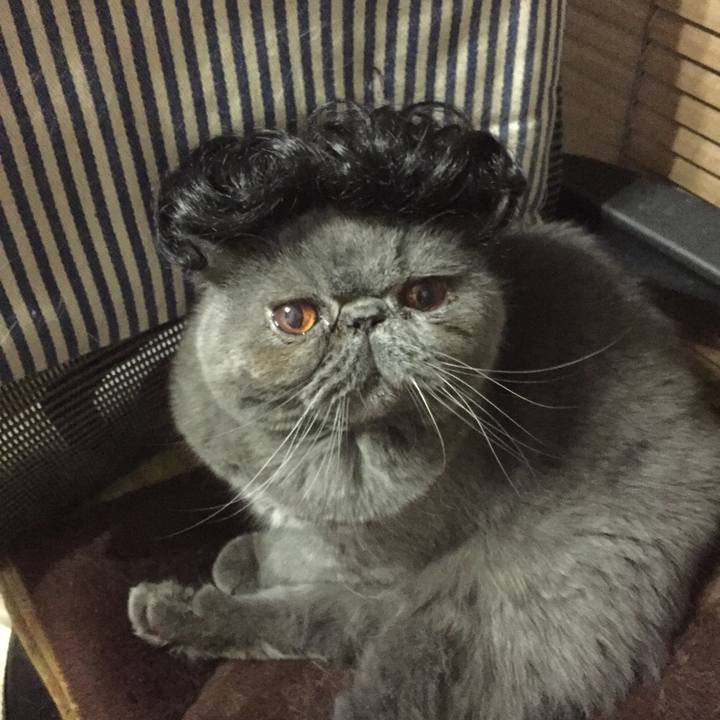 473bce03 e128 4323 bf43 c80bc897ab97