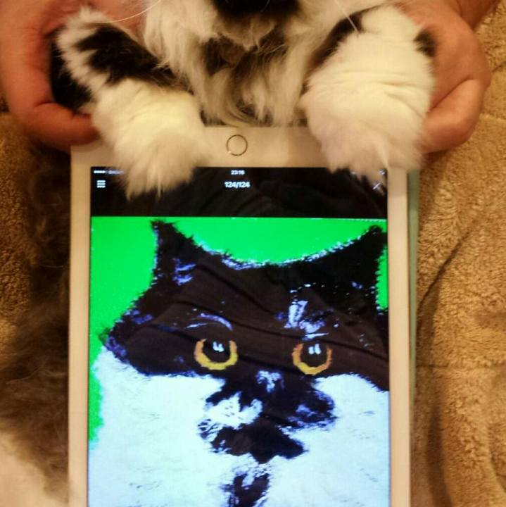 473bdd5a 171c 4997 8418 380fa296cd6a