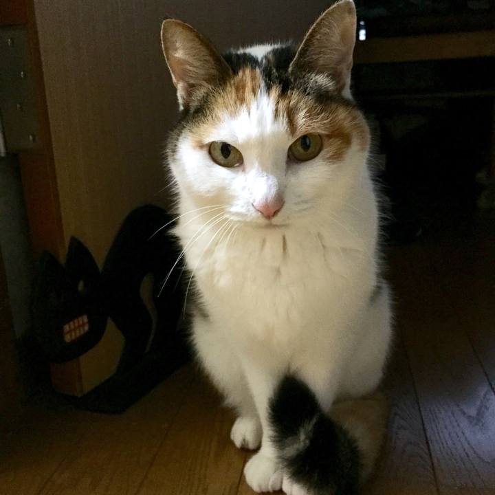 473c2ab4 6669 4224 93fa 38c9f5e9d628