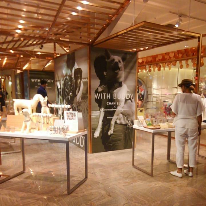 473c6301 5c1e 4ea0 949c 9db420a875ac