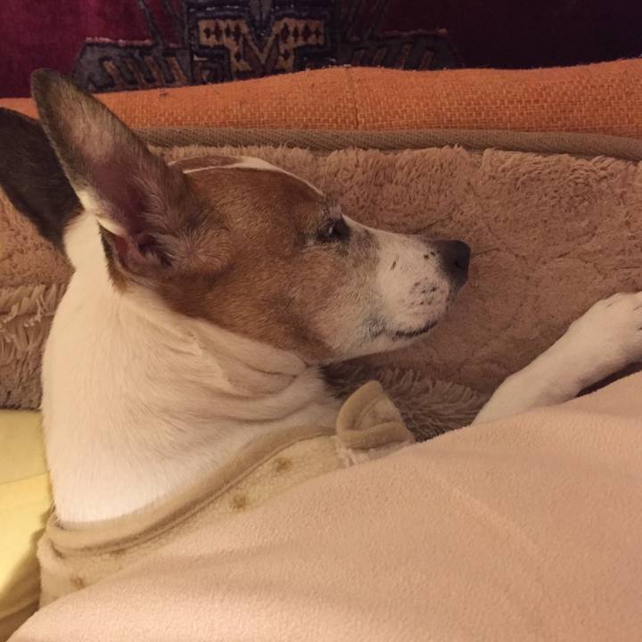 473c9dff f751 486a 9058 74816a728b5b