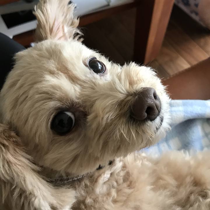 473cc8dd 0f97 47db 9cd9 886dcc70a860