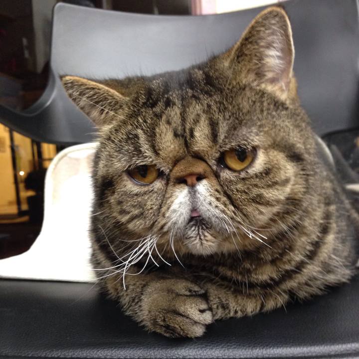 473d3620 d2fc 424c ab59 7fd7efd6877f