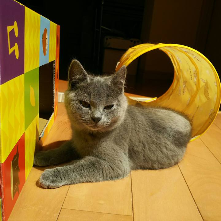 473d6554 95c2 4a32 baab 5b998f42ed23