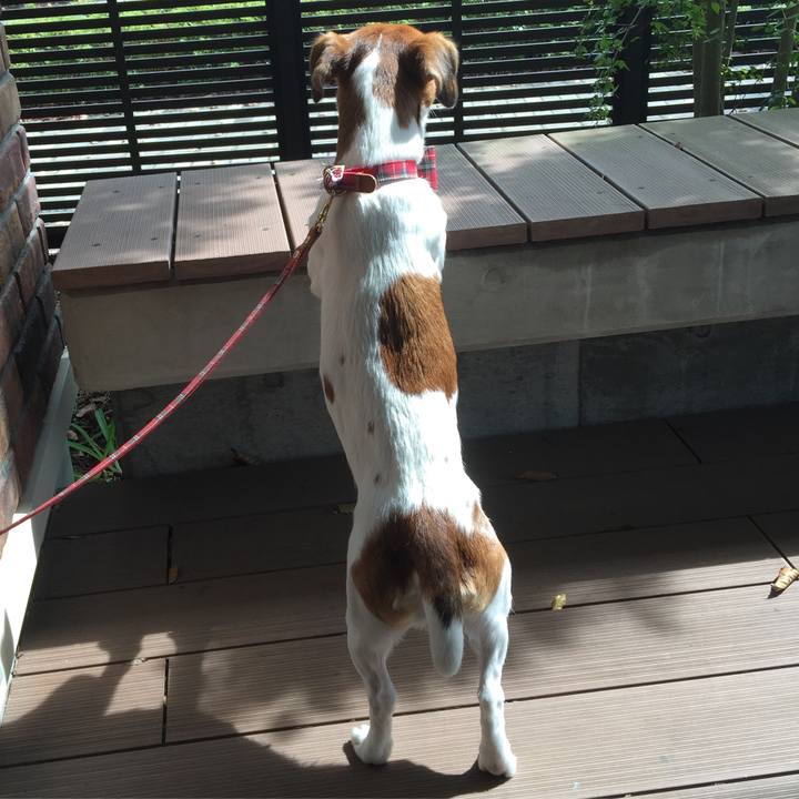 473d9e24 801a 42c9 b6a2 c2bc1417af1d